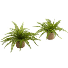 Load image into Gallery viewer, Boston Fern w/Burlap Planter (Set of 2) - zzhomelifestyle