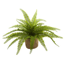 Load image into Gallery viewer, Boston Fern w/Burlap Planter (Set of 2) - zzhomelifestyle