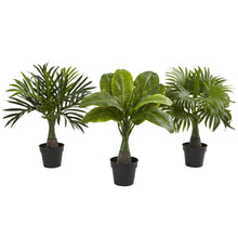 Load image into Gallery viewer, Areca, Fountain &amp; Banana Palm (Set of 3) - zzhomelifestyle