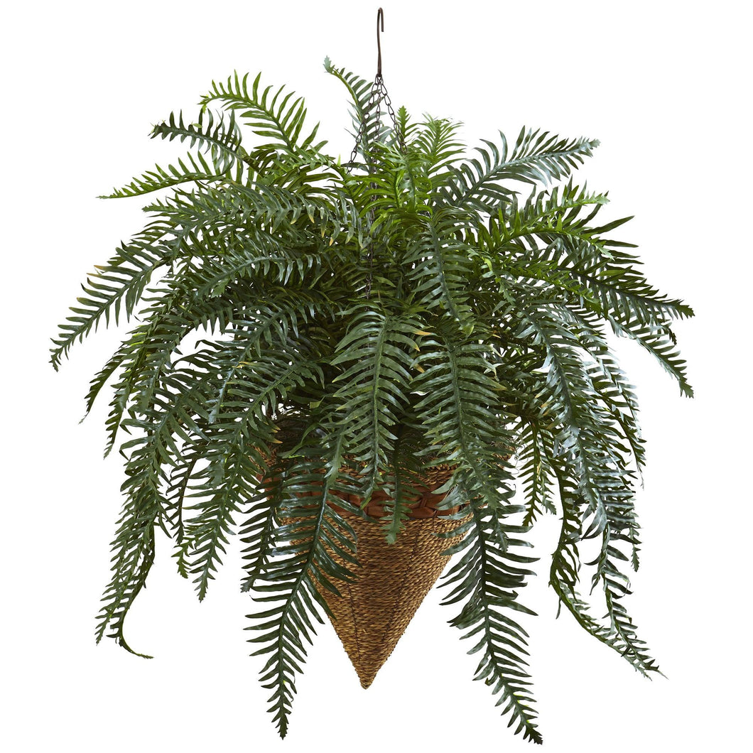 Giant River Fern with Cone Hanging Basket - zzhomelifestyle
