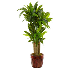 Load image into Gallery viewer, Cornstalk Dracaena in Wooden Planter - zzhomelifestyle