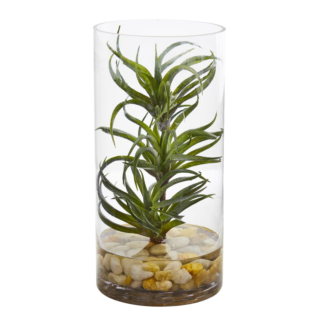Air Plant Artificial Succulent in Glass Vase - zzhomelifestyle