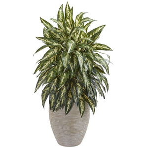 Aglonema Artificial Plant in Sand Colored Planter - zzhomelifestyle