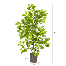 Load image into Gallery viewer, 3&#39; Ficus Artificial Tree in Planter - zzhomelifestyle