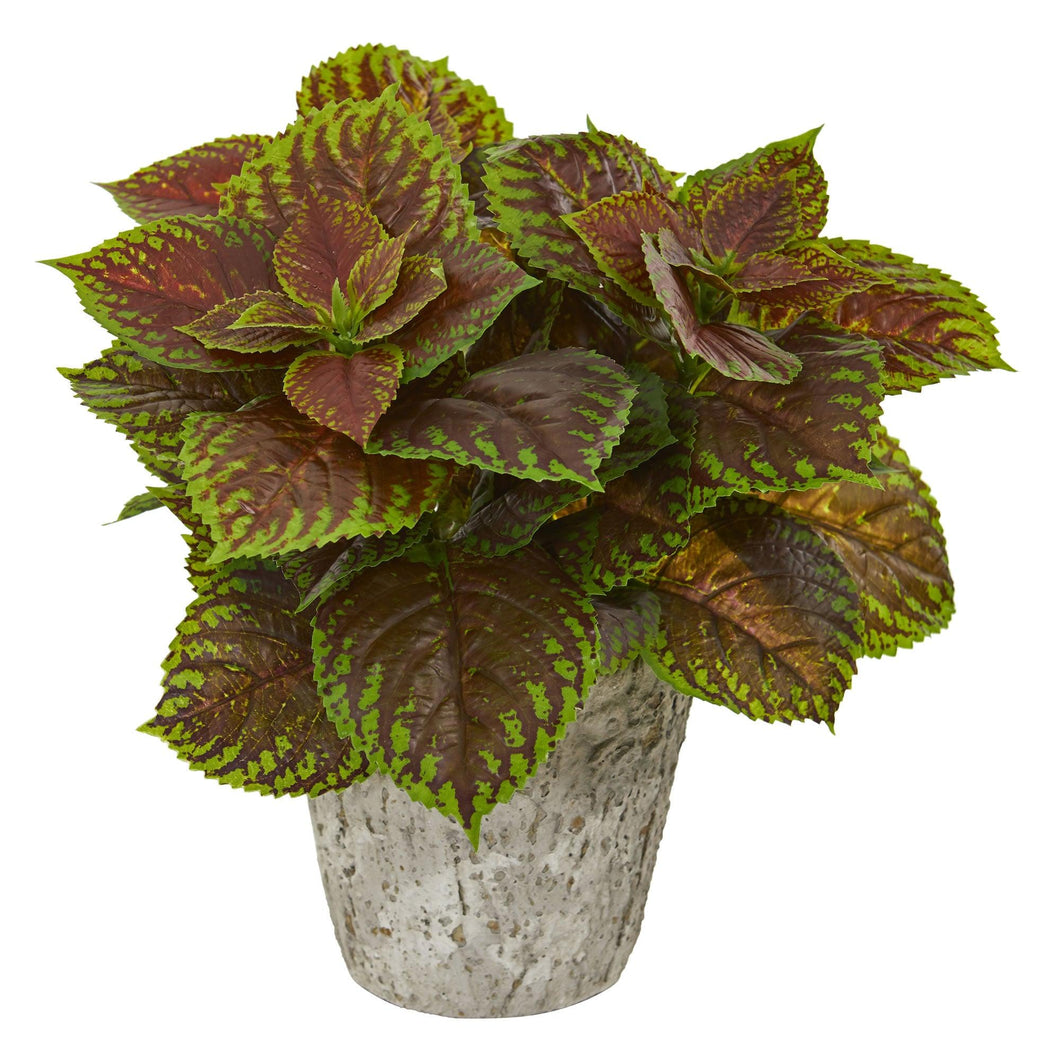 Coleus Artificial Plant in Weathered Oak Planter - zzhomelifestyle