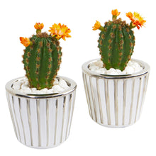 Load image into Gallery viewer, 8&quot; Flowering Cactus Artificial Plant in Decorative Planter (Set of 2) - zzhomelifestyle