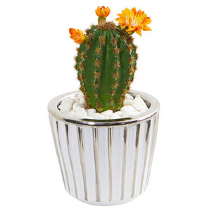 8" Flowering Cactus Artificial Plant in Decorative Planter (Set of 2) - zzhomelifestyle