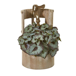 12" Rex Begonia Artificial Plant in Faucet Planter - zzhomelifestyle