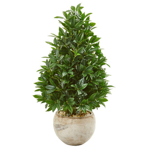 38" Bay Leaf Cone Topiary Artificial Tree in Bowl Planter UV Resistant (Indoor/Outdoor) - zzhomelifestyle