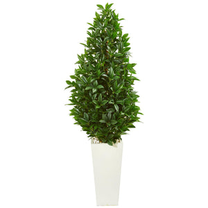 63" Bay Leaf Cone Topiary Artificial Tree in White Planter UV Resistant (Indoor/Outdoor) - zzhomelifestyle