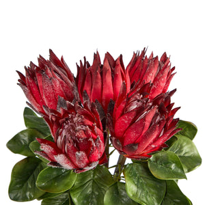23" King Protea Artificial Arrangement in Glass Vase - zzhomelifestyle