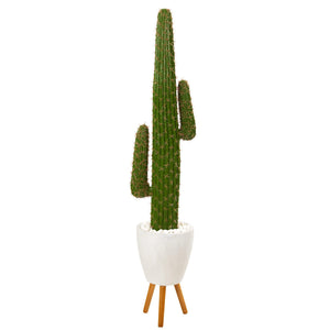 5.5' Cactus Artificial Plant in White Planter with Stand - zzhomelifestyle