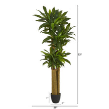 Load image into Gallery viewer, 6&#39; Corn Stalk Dracaena Artificial Plant (Real Touch) - zzhomelifestyle