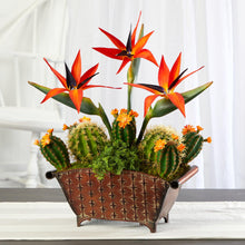 Load image into Gallery viewer, 21&quot; Bird of Paradise and Cactus Artificial Plant in Metal Planter - zzhomelifestyle