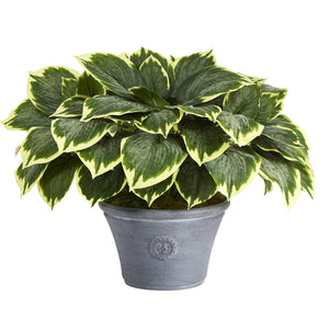 23" Variegated Hosta Artificial Plant in Gray Planter - zzhomelifestyle