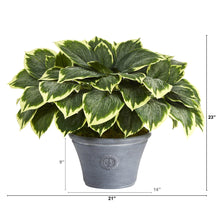 Load image into Gallery viewer, 23&quot; Variegated Hosta Artificial Plant in Gray Planter - zzhomelifestyle