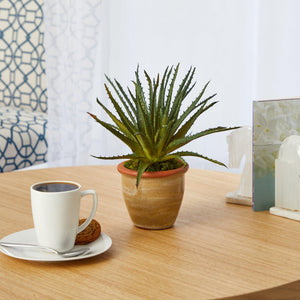 11" Aloe Artificial Plant in Ceramic Planter - zzhomelifestyle
