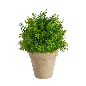 8" Boxwood Artificial Plant in Decorative Planter - zzhomelifestyle