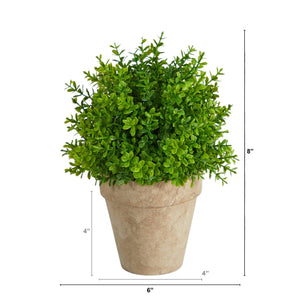 8" Boxwood Artificial Plant in Decorative Planter - zzhomelifestyle