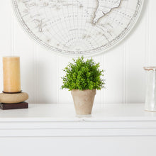Load image into Gallery viewer, 8&quot; Boxwood Artificial Plant in Decorative Planter - zzhomelifestyle