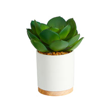 Load image into Gallery viewer, 6&quot; Succulent Artificial Plant in White Ceramic Planter - zzhomelifestyle