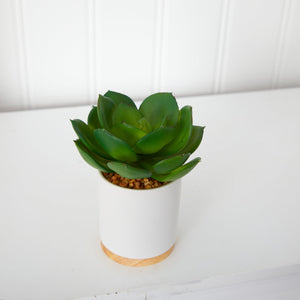 6" Succulent Artificial Plant in White Ceramic Planter - zzhomelifestyle