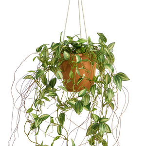 24" Pothos Artificial Plant in Hanging Planter - zzhomelifestyle