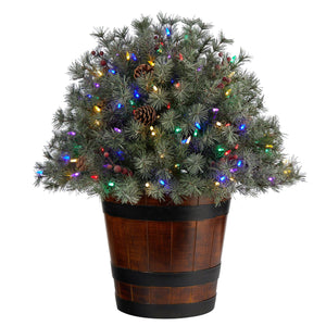 26" Flocked Shrub with Pinecones, 150 Multicolored LED Lights and 280 Branches in Planter - zzhomelifestyle