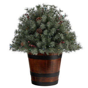 26" Flocked Shrub with Pinecones, 150 Multicolored LED Lights and 280 Branches in Planter - zzhomelifestyle
