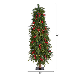 4' Victoria Fir Tree with 100 Multi-Color (Multifunction) LED Lights, Berries and 171 Branches - zzhomelifestyle