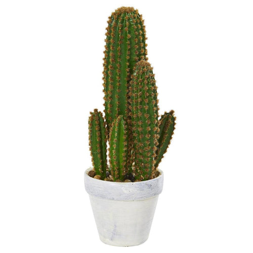 1.5’ Cactus Succulent Artificial Plant - zzhomelifestyle