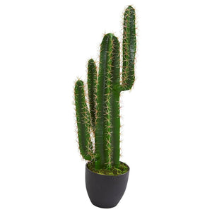 2.5’ Artificial Blue Myrtle Cactus Plant - zzhomelifestyle