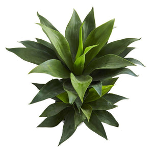 29” Double Agave Succulent Artificial Plant - zzhomelifestyle