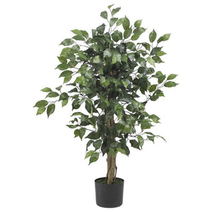 3' Ficus Silk Tree - zzhomelifestyle