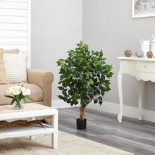 Load image into Gallery viewer, 3&#39; Ficus Silk Tree - zzhomelifestyle