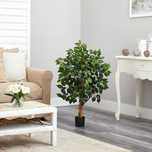 3' Ficus Silk Tree - zzhomelifestyle