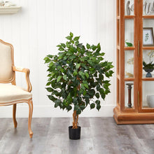 Load image into Gallery viewer, 3&#39; Ficus Silk Tree - zzhomelifestyle