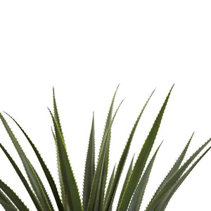 4’ Spiked Agave Plant - zzhomelifestyle