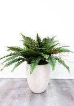 Load image into Gallery viewer, 40” Artificial Boston Fern (Set of 2) - zzhomelifestyle