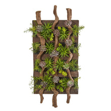 Load image into Gallery viewer, 41” x 19” Mixed Succulent Artificial Living Wall - zzhomelifestyle