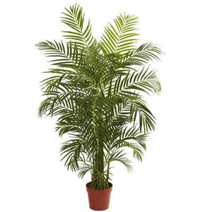 4.5' Areca Palm UV Resistant (Indoor/Outdoor) - zzhomelifestyle
