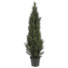 Load image into Gallery viewer, 5&#39; Mini Cedar Pine Tree (Indoor/Outdoor) - zzhomelifestyle