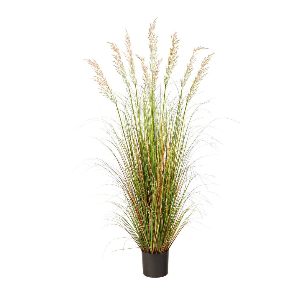 5.5’ Plum Grass Artificial Plant - zzhomelifestyle