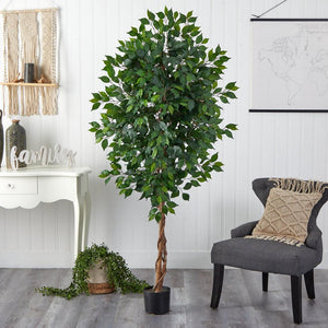 6’ Ficus Artificial Tree in Nursery Planter - zzhomelifestyle