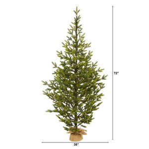 6’ Fraser Fir “Natural Look” Artificial Christmas Tree with 250 Clear LED Lights, a Burlap Base and 1243 Bendable Branches - zzhomelifestyle