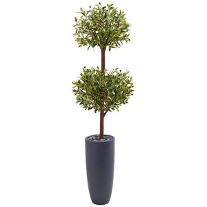 6’ Olive Double Tree in Gray Cylinder Planter - zzhomelifestyle