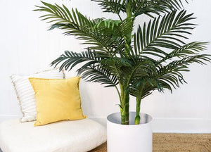 6.5' Golden Cane Artificial Palm Tree - zzhomelifestyle