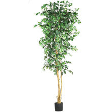 Load image into Gallery viewer, 7&#39; Ficus Silk Tree - zzhomelifestyle