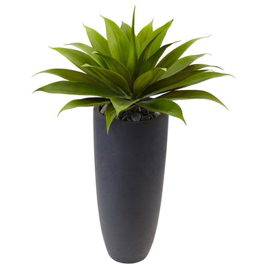 Agave in Gray Cylinder Planter - zzhomelifestyle