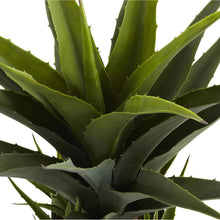 Load image into Gallery viewer, Agave w/Black Planter - zzhomelifestyle